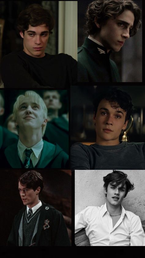 Slytherin Gang Aesthetic, Slytherin Boys Wallpaper, Draco Malfoy Wallpaper Aesthetic, Slytherin Characters, Tom Riddle Wallpaper, The Slytherin Boys, Harry Potter Riddles, Slytherin Gang, Benjamin Wadsworth Photoshoot