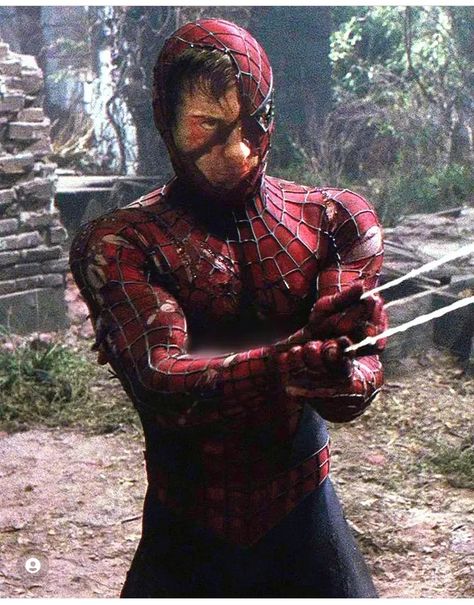 Sam Raimi Spiderman, Spidey Icon, Raimi Spiderman, Spiderman 2002, Spiderman Tattoo, Spider Man Trilogy, Spaider Man, Grunge Pictures, Sam Raimi