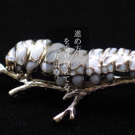 White Caterpillar, Clay Robot, Cricket Insect, Slug Bug, Animal Inspiration, Spider Jewelry, Insect Jewelry, So Real, Garden Jewelry