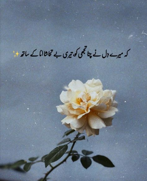 Mery dil ny tujy Chuna🙂 One Line Poetry, One Side Love, Urdu Poetry 2 Lines, 1 Line Quotes, One Line Quotes, Love Quotes In Urdu, Friend Lyrics, Quotes In Urdu, Poetry Lines