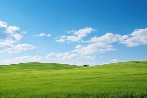 Landscape sky outdoors horizon.  | premium image by rawpixel.com / chu_chutima Grass Background, 4k Background, Landscaping Images, Green Grass, Sky And Clouds, Agriculture, Green