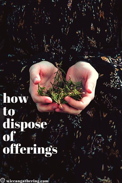 Never know what do you with your offerings? Click to read about how to dispose of Wicca offerings #wicca offerings #offering wicca #offerings to the goddess wicca #wicca deity #witch deities #witch offerings How To Leave Offerings For Deities, Witch Offerings, Witch Deities, Witch Altar Inspiration, Altar Ideas Sacred Space, Altar Offerings, Altar Setup, Witch Altar, Hecate Goddess