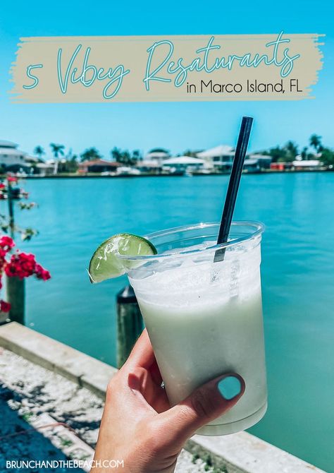 5 Vibey Restaurants in Marco Island, Florida Marco Island Florida Restaurants, Marco Island Florida Things To Do, Vibey Restaurants, Marco Island Restaurants, Outfit Images, Florida Vacation Spots, Fort Myers Beach Florida, Marco Island Florida, Florida Travel Guide