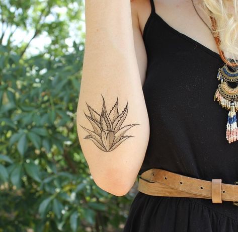 Aloe Vera Plant Tattoo, Desert Plant Tattoo, Century Plant Tattoo, Aloe Plant Tattoo, Agave Plant Tattoo, Desert Flower Tattoo, Aloe Vera Tattoo, Desert Tattoos, Agave Tattoo