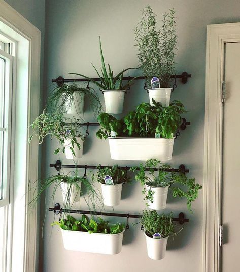 Outdoor Herb Garden, Garden Wall Designs, Herb Garden In Kitchen, Diy Herb Garden, Indoor Herb, Herb Gardens, Walled Garden, Indoor Herb Garden, Herbs Indoors