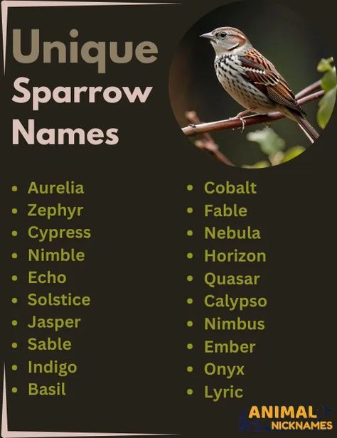 #UniqueSparrowNames
#CreativeBirdNames
#SparrowInspiration
#DistinctivePetNames
#OneOfAKindBirdNames
#BirdNameIdeas Animal Nicknames, Female Sparrow, Unique Name, Funny And Cute, Cute Names, Unique Names, Jack Sparrow, Small Birds, Little Bird