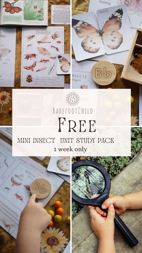 Homeschool Nature Study Free Printables, Free Unit Studies, Free Unit Studies Homeschool, Diy Learning Activities, Insect Activities For Kids, Homeschool Printables Free, Homeschool Posters, Insect Unit Study, Nature Homeschool