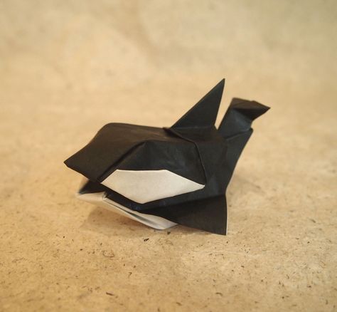 Origami Cube-Orca (Designed by Yoshihisa Kimura) by Lonely-Shiba Tessellation Patterns, Origami Cube, Loggerhead Sea Turtle, Mantis Shrimp, Butterfly Fish, Origami Fish, Octopus Design, Origami Animals, Turtle Design