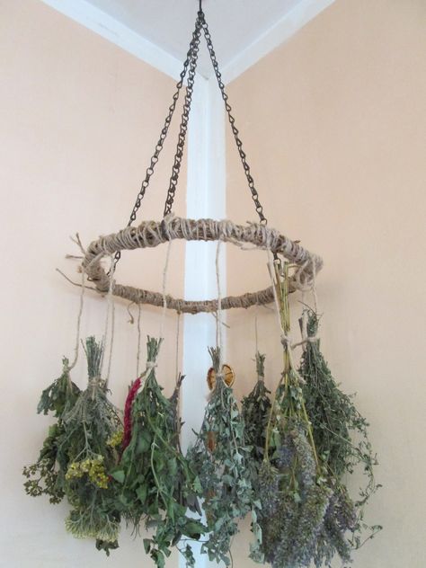 Dried Herb Bundles Culinary Herbs and Lavender Rustic Decor Culinary collection.  Aromatic herbs. All the herbs and flowers (excluding the Eucalyptus) are raised for personal use in my NJ backyard using natural methods (no herbicides or fertilizers). They were hand-harvested, hand-trimmed, and then hung to air dry this fall, year 2023.  Please choose from the available options :  1. A set of 4 bundles that includes: English Lavender,  German Thyme, Garden Sage, Rosemary 2.  A set of 5 herbal bun Herb Chandelier, Herbalist Decor, Drying Herbs Hanging, Dried Herbs Hanging, Witchy Diy Decor, Herb Aesthetic, Ceiling Hanging Decor, Hanging Dried Flowers, Herb Collection