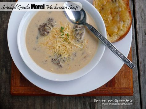 Smoked Gouda Morel Mushroom Soup Soups Vegetable, Smoked Mushrooms, Mushroom Morel, Foraged Recipes, Morel Recipes, Morel Mushroom Recipes, Cheesy Soup, Mushroom Cheese, Smoked Gouda Cheese