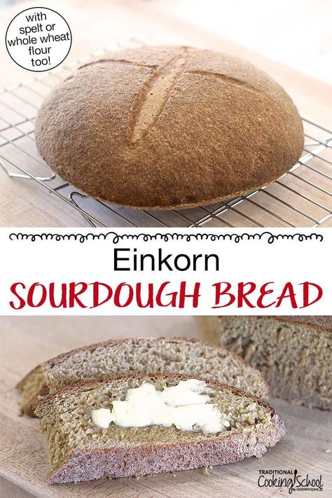 Naturally leavened with a sourdough starter, this whole grain sourdough bread recipe calls for whole wheat or ancient grains such as einkorn or spelt. I've included tips for using each of the flours so you can create the perfect fluffy, sky-high loaf... no yeast required! #sourdough #bread #wholegrain Whole Grain Sourdough Bread Recipe, Whole Grain Sourdough, Spelt Sourdough Bread, Einkorn Sourdough, Fermented Recipes, Sourdough Starters, Make Sourdough Bread, Homesteading Tips, Sourdough Sandwich