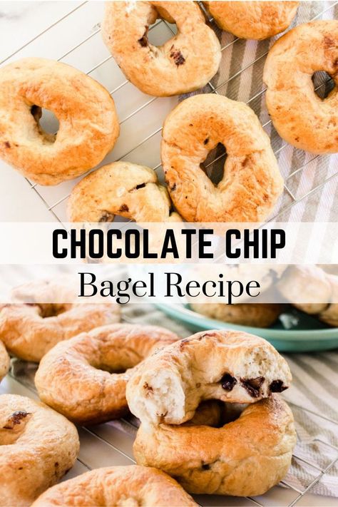 Chocolate Chip Bagel Recipe, Chocolate Chip Bagel, Chocolate Chip Bagels, Bagel Recipe Easy, Homemade Chocolate Chips, Homemade Bagels, Simple Breakfast, Bagel Recipe, Chocolate Chip Recipes