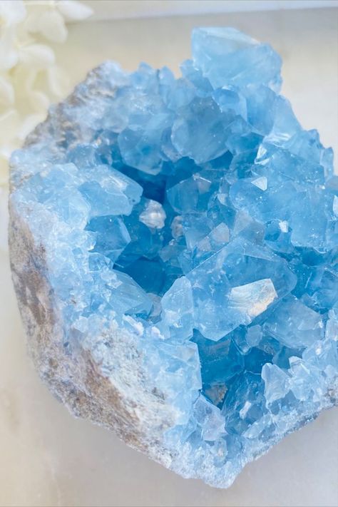 Celestite crystal clusters Australia Celestite Crystal, Crystal Clusters, Port Macquarie, Angelic Realm, Quartz Geode, North Coast, Amethyst Cluster, Minerals And Gemstones, Blues Rock