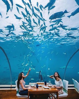 Underwater Restaurant, Visit Maldives, Underwater Theme, Architecture Design Drawing, The Maldives, Underwater World, Nature Travel, Travel Bucket List, Tourist Attraction