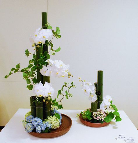 Hyogo Ikebana Show by Mai Wakisaka Photography, via Flickr Floral Chandelier Wedding, Free E Books, Floral Desing, Arreglos Ikebana, Floral Art Arrangements, Hotel Flowers, Rose Flower Arrangements, Corporate Flowers, Unique Flower Arrangements