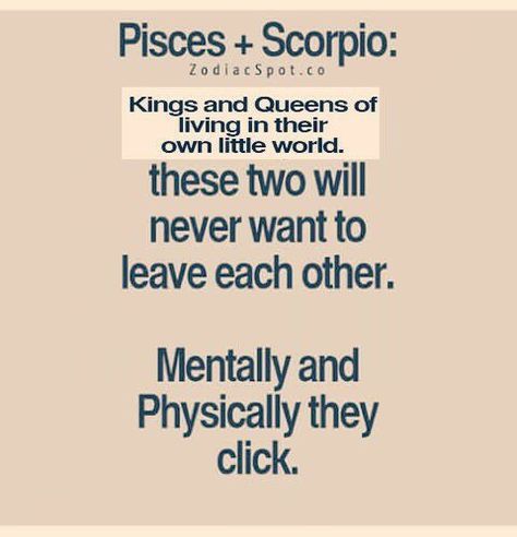 Cusp- Aries/Pisces& Scorpio/Sagittarius Pisces And Scorpio Compatibility, Pisces Woman Scorpio Man, Scorpio And Pisces Relationship, Connection Spiritual, Pisces Relationship, Pisces Compatibility, Pisces Scorpio, Pisces Personality, Pisces Traits