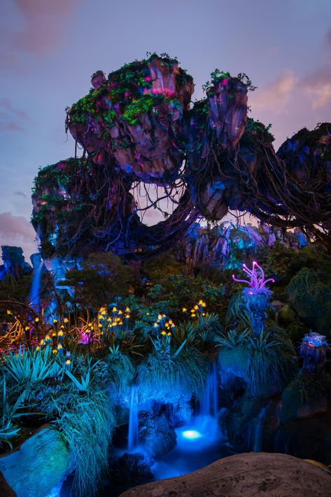 Disney World Aesthetic Night, Animal Kingdom Photography, Pandora Disney Animal Kingdom, Avatar Pandora Nature Wallpaper, Disney Animal Kingdom Wallpaper, Disney’s Animal Kingdom, Dream World Aesthetic, Animal Kingdom Pictures, Animal Kingdom Aesthetic