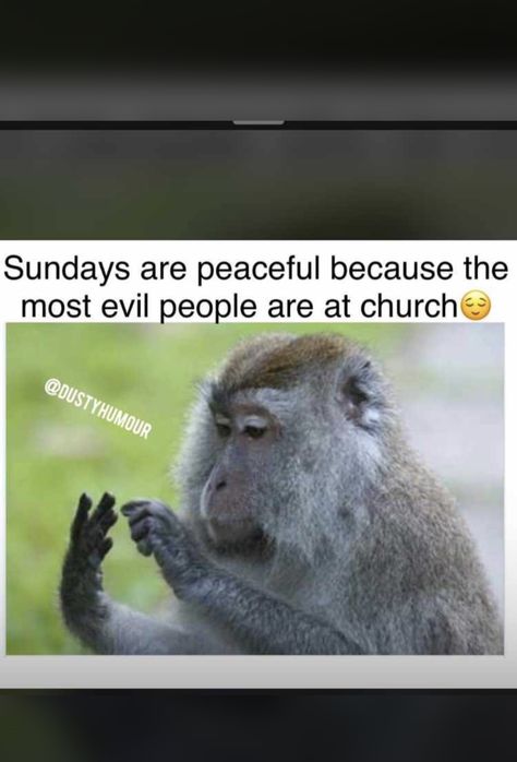 African Quotes, Christian Quotes Prayer, Movie Quotes Funny, Memes Sarcastic, Funny Cartoon Quotes, Funny Picture Quotes, Funny As Hell, Internet Funny, Really Funny Pictures