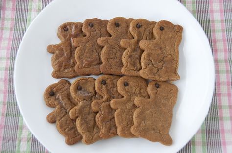 Groundhog Day Molasses Cookies Groundhog Day Crafts, Wishes And Dishes, Molasses Cookies Recipe, Molasses Cookies, Fun Travel, Groundhog Day, Brownie Bar, Cut Out Cookies, Molasses