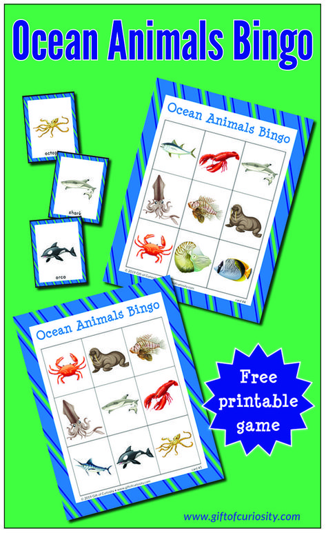 Free Ocean Animals Bingo Game with realistic looking ocean animal images | free printable ocean animals activity for preschoolers | free printable ocean animals activity for toddlers | #ocean #bingo #freeprintable #giftofcuriosity || Gift of Curiosity Teachers Inspiration, Animals Group, Ocean Ideas, Free Educational Printables, Activity For Preschoolers, Ocean Unit, Activity For Toddlers, Kid Science, Executive Functioning Skills