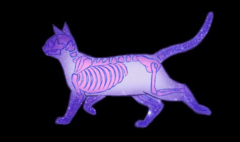 aestheticfucks: “ Kitty :3 ” Purple Aesthetic Gif, Raining Art, Nice Trip, Flipagram Instagram, Halloween Gif, Animation Reference, It's Raining, Wow Art, Warrior Cat