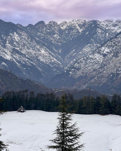 It’s finally snowing in Himachal ❄️❄️ Picture pristine snow-capped peaks glistening under the soft sunset glow, transforming the landscape into a serene, untouched wonderland. So grateful to be living in paradise 🙏🏼 📍Shangarh and Mandi, Himachal Pradesh 📸 1st and 3rd Feb 2024 #snowfall #himachaltourism #himachalsnowfall #winterhimachal #winterwonderlandindia #wintertourism #shangarh [Himachal snowfall, winter trip, Himachal in winters, Snowfall in 2024, Himachal winter tourism, best plac... Shangarh Himachal, Mandi Himachal Pradesh, Soft Sunset, Winter Trip, Sunset Glow, Aesthetic Pastel, Himachal Pradesh, Aesthetic Pastel Wallpaper, Pastel Wallpaper