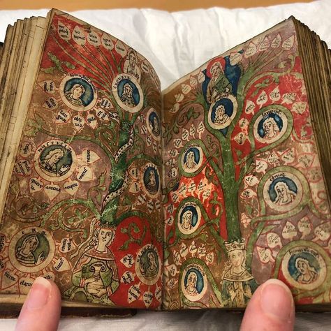 Page Books, Medieval Artwork, Illustrated Manuscript, Medieval Books, Book Of Hours, Medieval Manuscript, Medieval Art, Illuminated Manuscript, E Reader