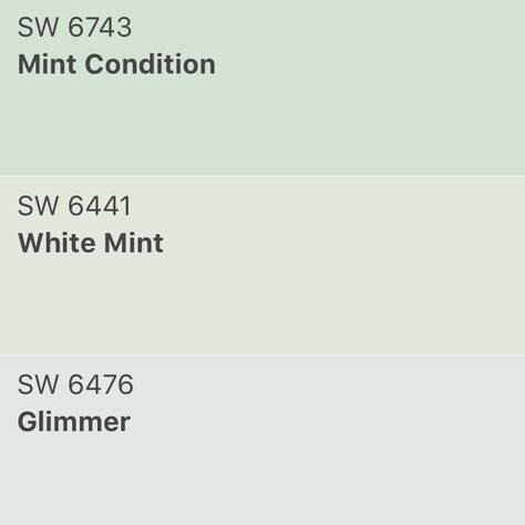 Mint Green Sherwin Williams, Pale Mint Green Paint, Sherwin Williams Mint Condition, White Mint Sherwin Williams, Mint Condition Sherwin Williams, Mint Green Exterior House Colors, Mint Green Paint Color, Light Green Nursery, Sherwin Williams Paint Colors Green