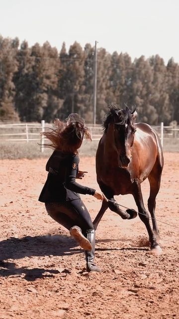 Ground Work For Horses, Black Black Outfit, Horse Groundwork, Liberty Horse, Farm Aesthetic, Equestrian Aesthetic, Free Horses, Horse Videos, Back In Black