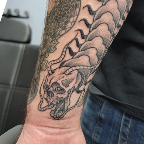 Skull Centipede Tattoo, Reaper Tattoo, Skeleton Tattoos, Skull Tattoos, Tattoo Inspo, Flash Tattoo, Skull Tattoo, Tattoo Ideas, Flash