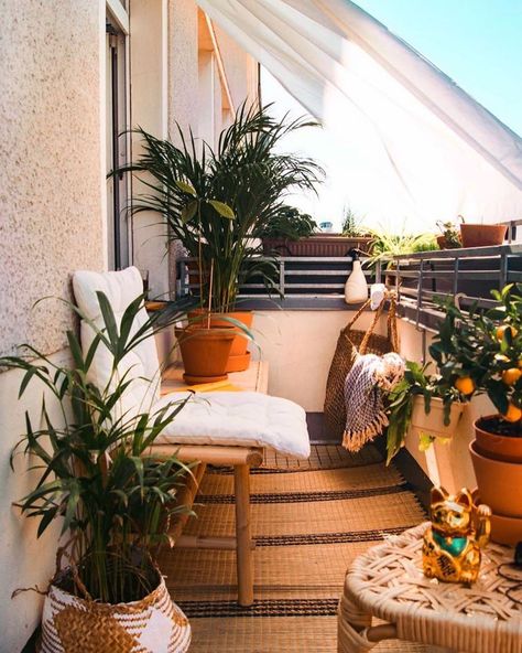 𝔸𝔻𝔻 𝔸 𝔹𝔸ℝ 𝕋𝕆 𝕐𝕆𝕌ℝ  𝔹𝔸𝕃ℂ𝕆ℕ𝕐 on Instagram: “Obsessed with this orange tree 🍊 ⁣ ⁣ Balcony inspiration / 📸 by: @fridlaa⁣ ⁣ ⁣ ⁣ ⁣ ⁣ ⁣ ⁣ ⁣ ⁣ ⁣ ⁣ ⁣ ⁣ ⁣ ⁣ ⁣ ⁣ #home #balconydecor…” Balkon Decor, Backyard Garden Layout, Home Gym Decor, Garden Wallpaper, Home Gym Design, Outdoor Balcony, Small Balcony Decor, Small Balcony Ideas, Balcony Design