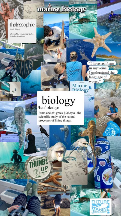 More marine biology Marine Biology Wallpaper, Biology Wallpaper, Marine Biology Jobs, Biology Jobs, Oceanography Marine Biology, Biology Notes, Marine Biologist, Future Jobs, Oceanography