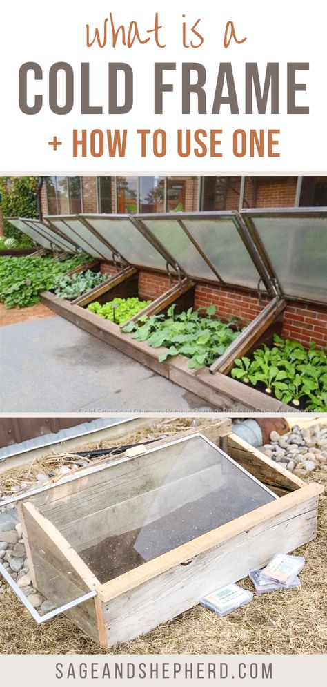 Learn everything you need to know about a cold frame! A cold frame allows you to plant earlier and grow cold hardy crops like lettuce and roots! Pallet Cold Frame, Old Window Cold Frame, Underground Cold Frame, Raised Garden Bed Cold Frame, Cold Frame Garden, Cold Frame Diy How To Build, Diy Cold Frame Ideas, Coldframe Gardening Diy, Garden Cold Frame Diy