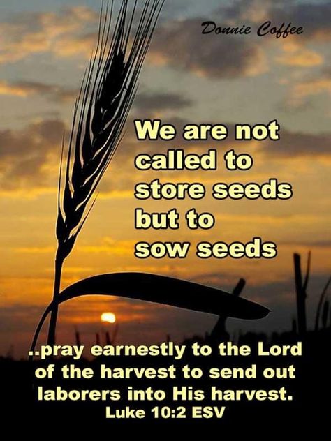 Luke 17:3-4, Harvest Is Plentiful Workers Are Few, The Harvest Is Plentiful, Luke 24:13-35, Luke 21:34-36, Bible Verse Luke 1:37, Fall Bible Verses, For With God Nothing Shall Be Impossible Luke 1:37, Actions Speak Louder