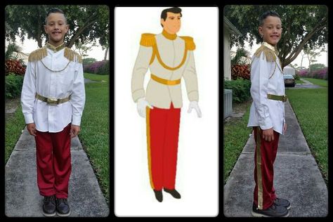 My Prince Charming diy costume Diy Prince Charming Costume, Diy Prince Costume, Prince Charming Costume, Prince Costume, School Costume, My Prince, Halloween Family, Diy Costume, Diy Toddler