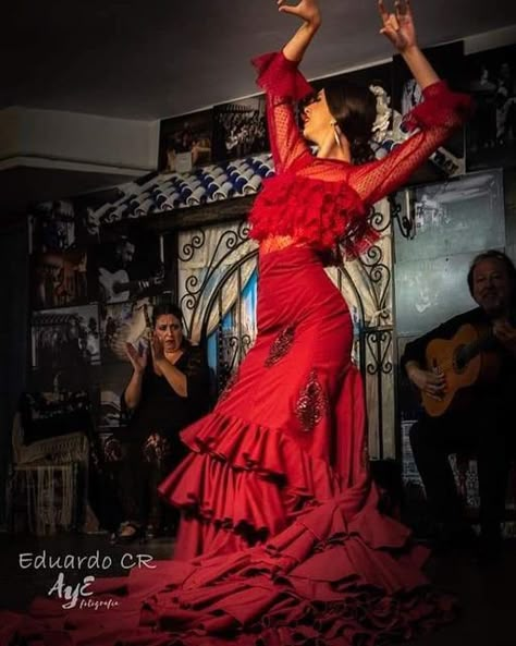 Fay Hart on Instagram: "#flamenco #spain #dancer # fashion #red #design #history" Flamenco Dancers Photography, Flamenco Spain, Flamenco Style Dress, Dancer Fashion, Ballroom Dance Outfits, Spanish Dance, Dancer Photography, Spanish Dancer, Flamenco Dancer