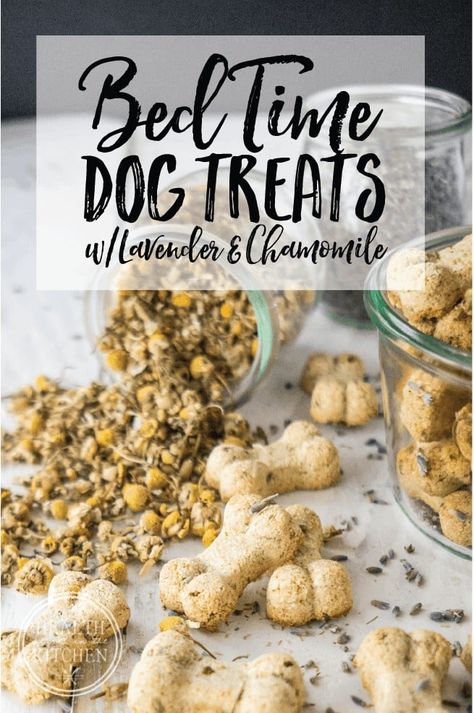 Lavender Chamomile Bed Time Dog Biscuits {Grain-Free} – Health Starts in the Kitchen Homemade Dog Cookies, Homemade Pet Treats, Dogs Treats, Pet Treats Recipes, Dog Treats Homemade Easy, Easy Dog Treat Recipes, Dog Biscuit Recipes, Easy Dog Treats, Healthy Dog Treats Homemade