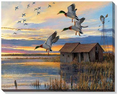 Duck Country Wrapped Canvas Art - American Expedition Waterfowl Art, Sky Art Painting, Fall Garden Flag, Wildlife Prints, Diy Watercolor Painting, Wood Burning Patterns, Wildlife Paintings, Animal Wall Decor, Lifestyle Art