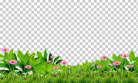 Grass Png For Editing, New Photo Background, Green Grass Png, Grass Images, Pink And Green Background, Grass Photoshop, Grass Png, Grass Clipart, Free Green Screen Backgrounds