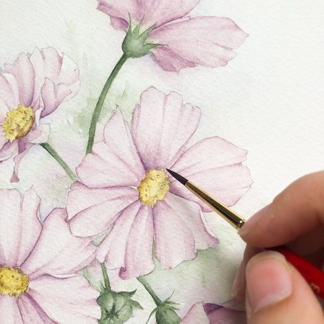 The secret to delicate petals are light layers of paint and a strong drawing foundation… and beautiful floral references, of course :heart_eyes: Beautiful watercolor cosmos flowers by Katrina Crouch. Watercolor botanical painting inspiration #watercolorwallart #gallerywall #homedecor #katrinacrouch Strong Drawing, Watercolor Cosmos, Cosmos Painting, Drawing Course, Gallery Wall Inspiration, Cosmos Flowers, Watercolor Paintings Easy, Watercolor Paintings Tutorials, Botanical Painting