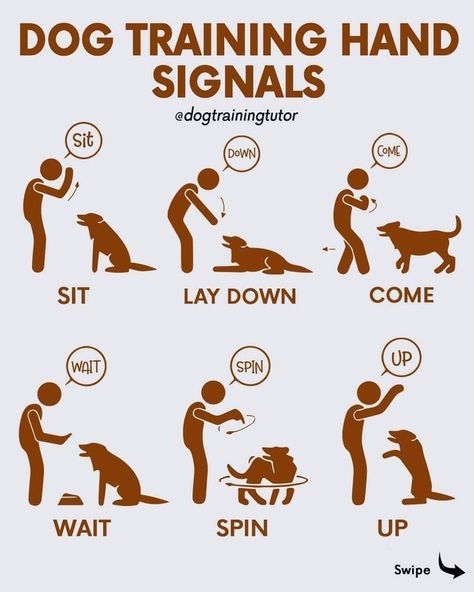 Train your dog with hand signals to improve communication, focus, and | #Puppy_Training_Tricks #Obedience_Training_For_Dogs #Dog_Training_Hand_Signals #Games_For_Dogs Dog Training Hand Signals, Dog Hand Signals, Teach Dog Tricks, Service Dog Training, Basic Dog Training, Dogs Training, Hand Signals, Dog Training Advice, Dog Brain