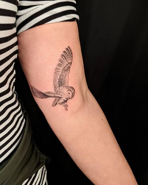 Owl Tattoo Placement Ideas, Cool Owl Tattoos, Hedwig Tattoo Design, Powerful Animal Tattoos, 3 Owls Tattoo, Fineline Owl Tattoo, Owl Line Art Tattoo, Bird Sternum Tattoo Women, Deftones Owl Tattoo