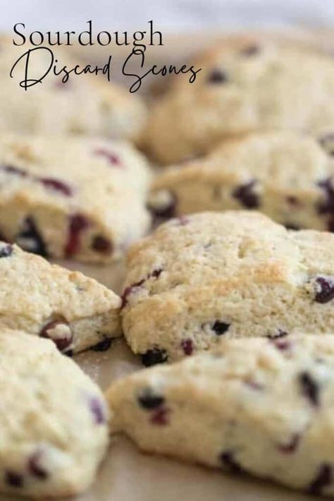 Sourdough Discard Scones, Discard Scones, Sourdough Dessert, Sourdough Scones, Blueberry Scones Recipe, Blueberry Biscuits, Recipe Using Sourdough Starter, Cranberry Orange Scones, Vegan Scones