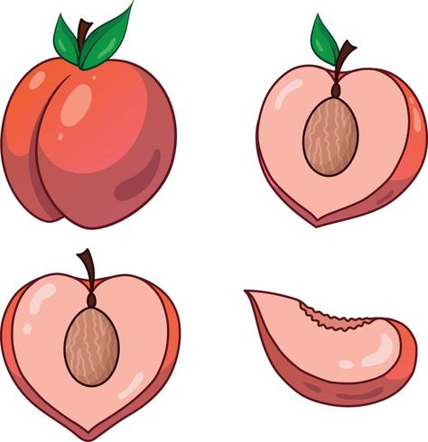 Peach set. Sliced peach. Peach slices. Peach Vector, Peach Drawing, Vector Infographic, Peach Slices, Drawing Simple, Vector Free, Royalty Free, Clip Art, Drawings