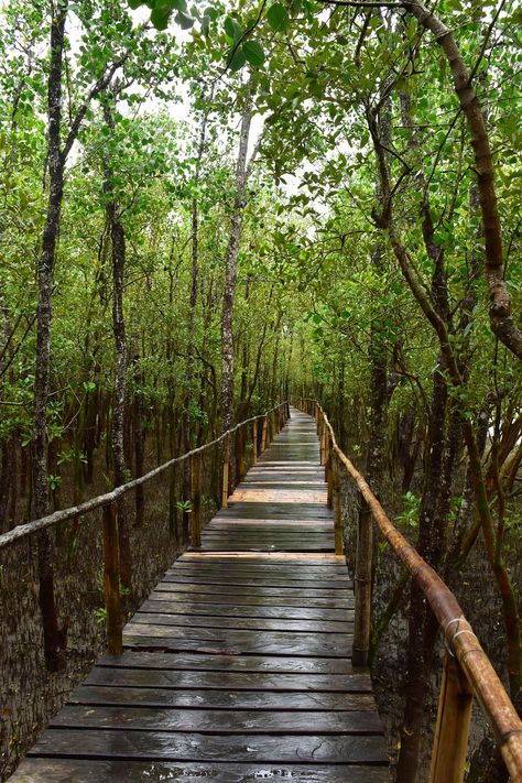 Witch Architecture, Eco Cottage, Kalibo, Eco Park, Forest Lodge, Dream Landscape, Eco Lodge, Farm Tour, Wooden Bridge