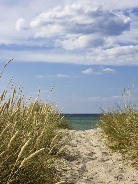 Artland Poster, Leinwandbild »Strandzugang Ostsee Dänemark Landschaften Foto« Jetzt bestellen unter: https://moebel.ladendirekt.de/dekoration/bilder-und-rahmen/poster/?uid=de704f14-244e-51d5-9b33-8d13492c3266&utm_source=pinterest&utm_medium=pin&utm_campaign=boards #bilder #rahmen #poster #dekoration Wall Film, Holiday Logo, Dubai Beach, Beach Cocktails, Living In Europe, Dubai Travel, Europe Travel Tips, Baltic Sea, Holiday Photos