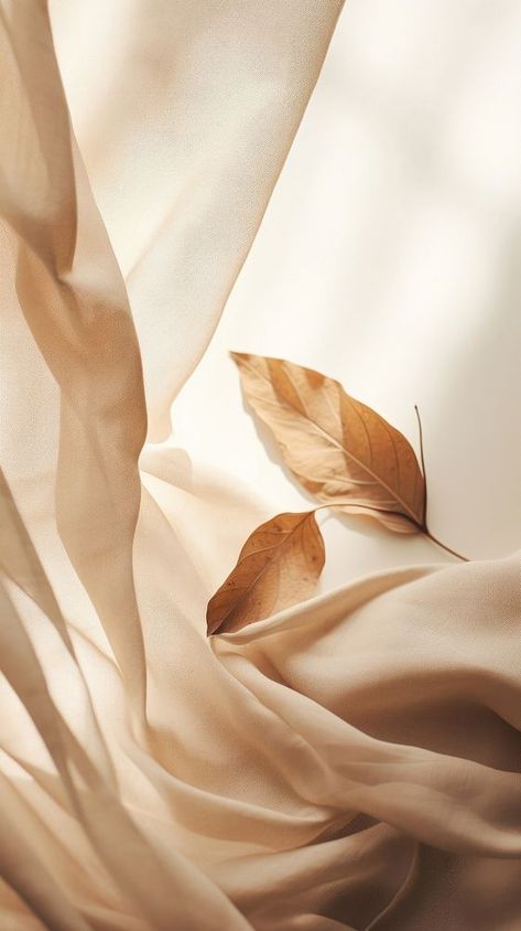 Leaf plant brown backgrounds.  | premium image by rawpixel.com Sheer Fabric Aesthetic, Esthetics Marketing, Esthetics Background, Grainy Aesthetic, Brown Backgrounds, Marketing Background, Neutral Tones Aesthetic, Sage Aesthetic, Chic Background