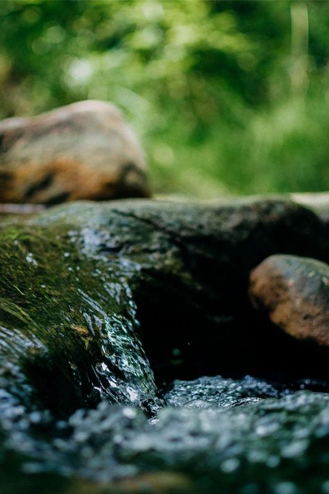 Small Waterfall Photography #forest #nature #forestphotography #naturephotography #naturelovers #jungle #naturephoto #waterfall #waterfallphoto #waterfallphotography #smallwaterfall #stream #creek Water Flowing Video, River Video, Water Video, Water Sound, River Flow, Photography Forest, Flowing River, River Flowing, Natural Waterfalls