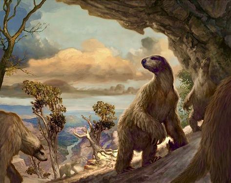 Bear-sized extinct Shasta ground sloths (Nothrotheriops shastensis) lived in caves in limestone cliffs above Lake Mead, Arizona. Among the smallest ground sloths, they were still 9 feet long head to tail and weighed up to 550 pounds. Jon Foster, Ground Sloth, Prehistoric Wildlife, John Ford, Prehistoric World, Terra Nova, Ancient Animals, Prehistoric Art, Paleo Art