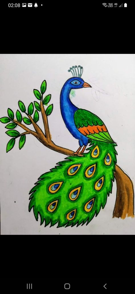 Birds Drawing Easy For Kids, Peacock Drawing For Kids, Peacock Drawing Images, Peacock Drawing Simple, Peacock Drawing Easy, Peacock Drawing With Colour, Bird Drawing For Kids, Holi Drawing, Simple Bird Drawing